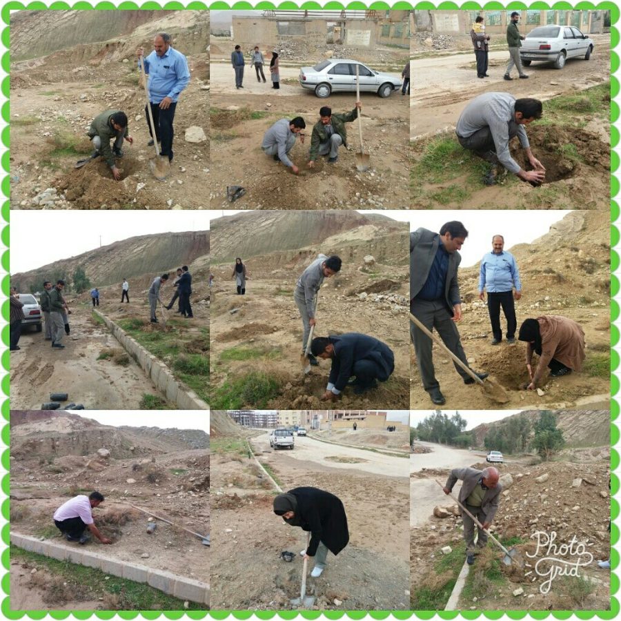 کاشت نهال به یاد جانباختگان حادثه سقوط هواپیما تهران_یاسوج در مسجدسلیمان