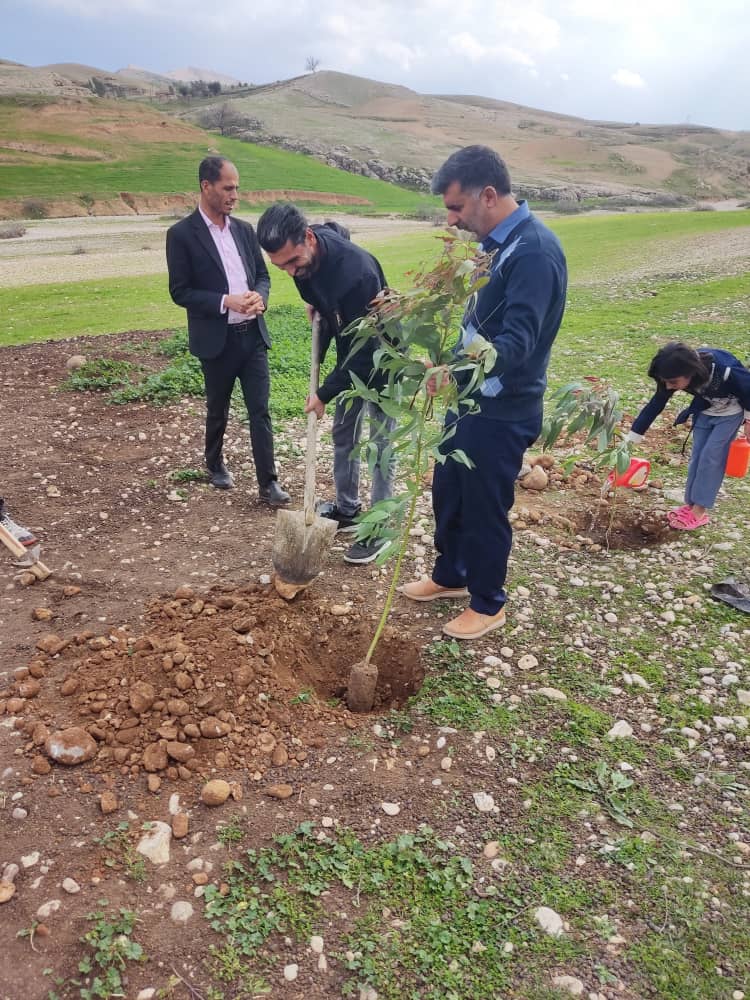 کاشت بیش از ۱۰ هزار اصله نهال مثمر و غیر مثمر در روستاهای دارای دهیاری بخش گلگیر آغاز گردید