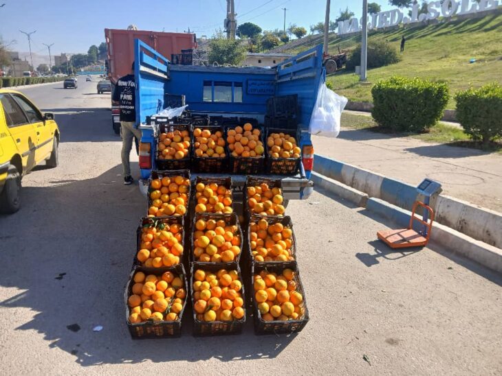 اقدامات هفتگی معاونت خدمات شهری شهرداری مسجدسلیمان در راستای پیشگیری از تخلفات