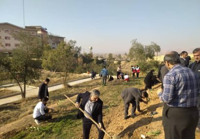 پویش کاشت یک هزار اصله نهال در مسجدسلیمان برگزار شد 