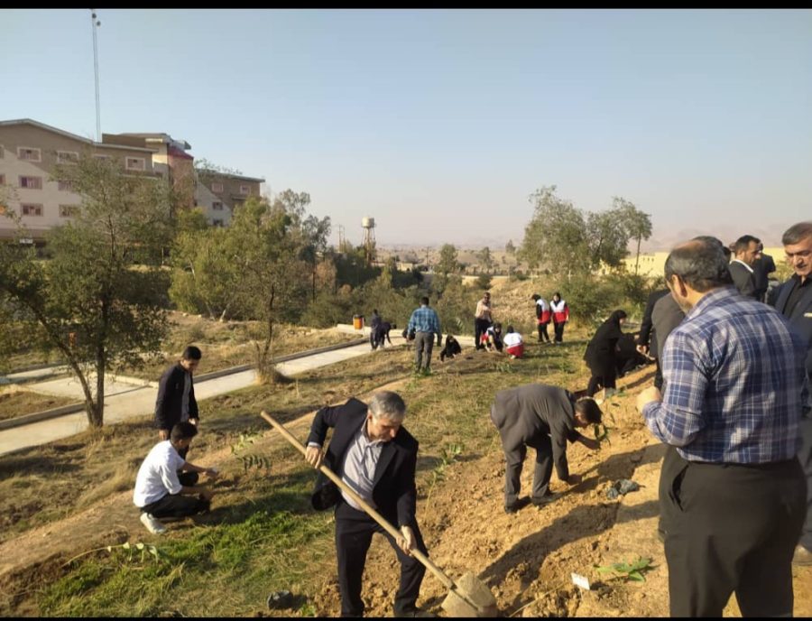 پویش کاشت یک هزار اصله نهال در مسجدسلیمان برگزار شد 