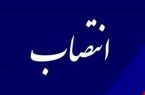 سعید بلدی بخشدار مرکزی مسجدسلیمان شد