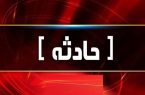 مصدومیت شدید واکسیناتور دامپزشکی مسجدسلیمان در حمله سگ نگهبان