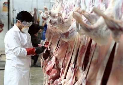 دو اکیپ دامپزشکی آماده نظارت بر نذورات تاسوعا و عاشورا هستند