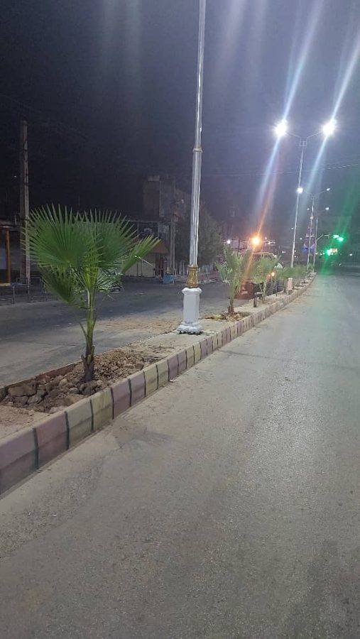 کاشت نخل تزئینی پالم در مسیر بلوار نمره یک به دوراهی بی‌بیان