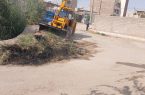 آغاز عملیات پاکسازی و نخاله‌برداری در چند نقطه سطح شهر مسجدسلیمان 