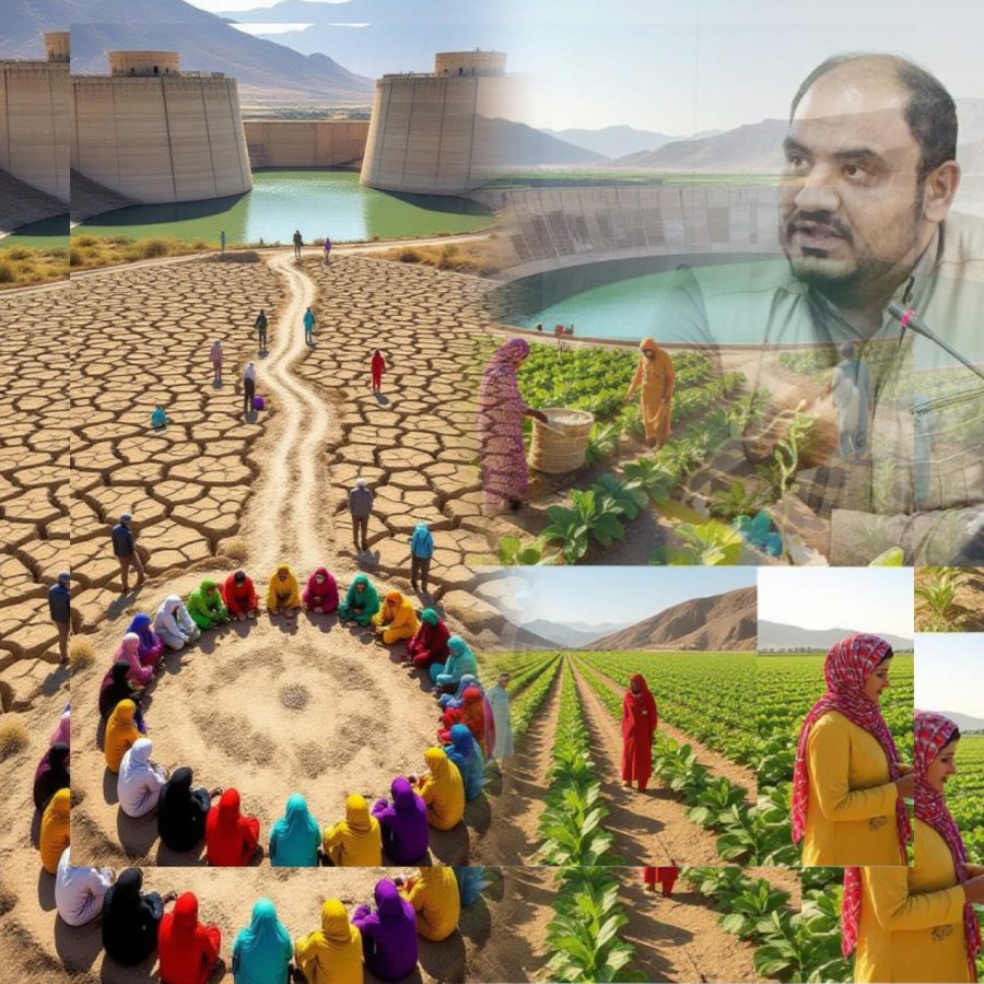 مسجدسلیمان در انتظار اجرای طرح ۵۵۰ هزار هکتاری / ۲۳ هزار هکتار زمین کشاورزی تشنه آب و اشتغال