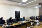 هیچ گونه سهل انگاری در راستای جمع آوری سگ های ولگرد قابل قبول نیست