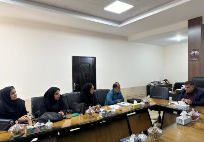 هیچ گونه سهل انگاری در راستای جمع آوری سگ های ولگرد قابل قبول نیست