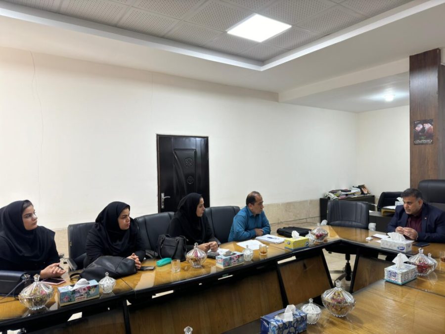 هیچ گونه سهل انگاری در راستای جمع آوری سگ های ولگرد قابل قبول نیست