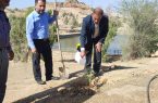 کاشت نهال توسط کارکنان اداره پست مسجدسلیمان در پارک جنگلی تمبی