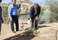 کاشت نهال توسط کارکنان اداره پست مسجدسلیمان در پارک جنگلی تمبی