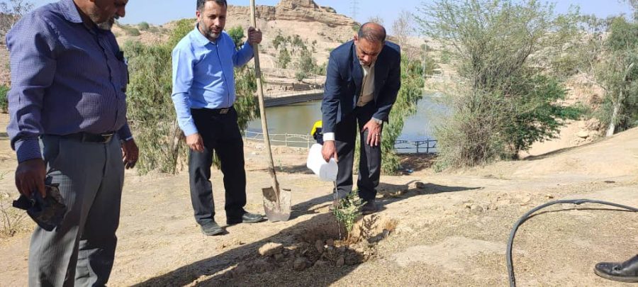 کاشت نهال توسط کارکنان اداره پست مسجدسلیمان در پارک جنگلی تمبی