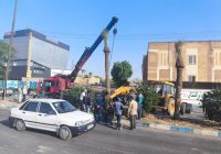 کاشت نخلهای ثمرده به یاد شهدای نفت در مسجدسلیمان آغاز شد کاشت نخلهای ثمرده به یاد شهدای نفت در مسجدسلیمان آغاز شد