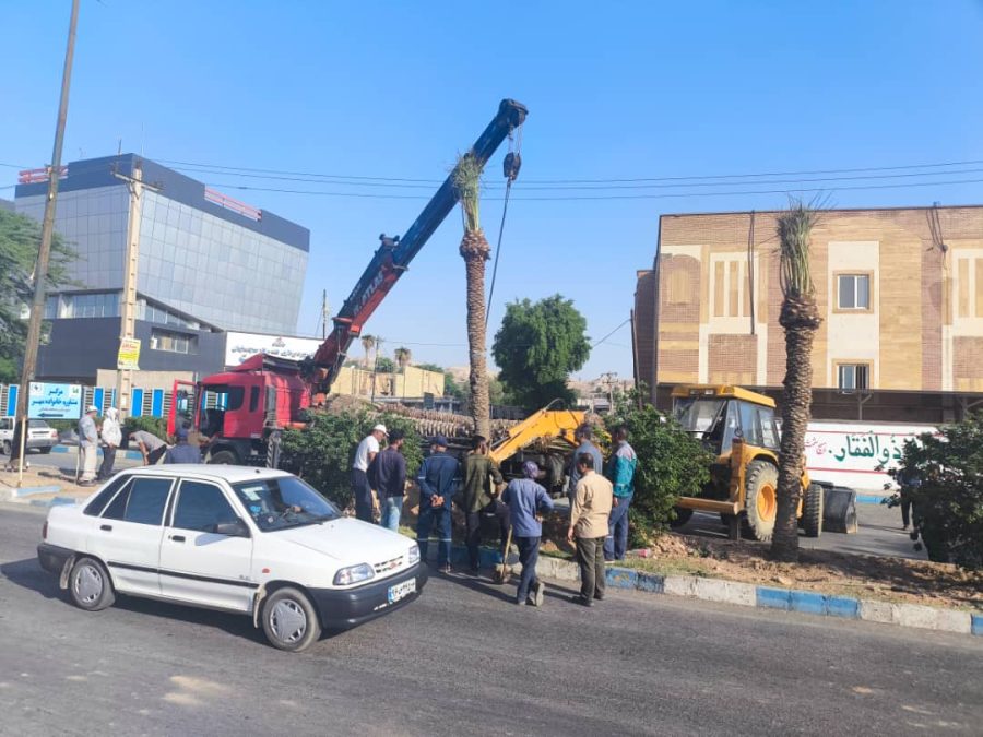 کاشت نخل‌های ثمرده به یاد شهدای نفت در مسجدسلیمان آغاز شد