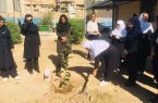 کاشت نهال در بیمارستان ۲۲ بهمن مسجدسلیمان به مناسبت روز پرستار و میلاد حضرت زینب (س)