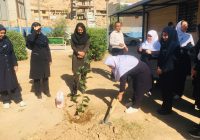 کاشت نهال در بیمارستان ۲۲ بهمن مسجدسلیمان به مناسبت روز پرستار و میلاد حضرت زینب (س) کاشت نهال در بیمارستان ۲۲ بهمن مسجدسلیمان به مناسبت روز پرستار و میلاد حضرت زینب (س)