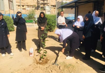 کاشت نهال در بیمارستان ۲۲ بهمن مسجدسلیمان به مناسبت روز پرستار و میلاد حضرت زینب (س) کاشت نهال در بیمارستان ۲۲ بهمن مسجدسلیمان به مناسبت روز پرستار و میلاد حضرت زینب (س)
