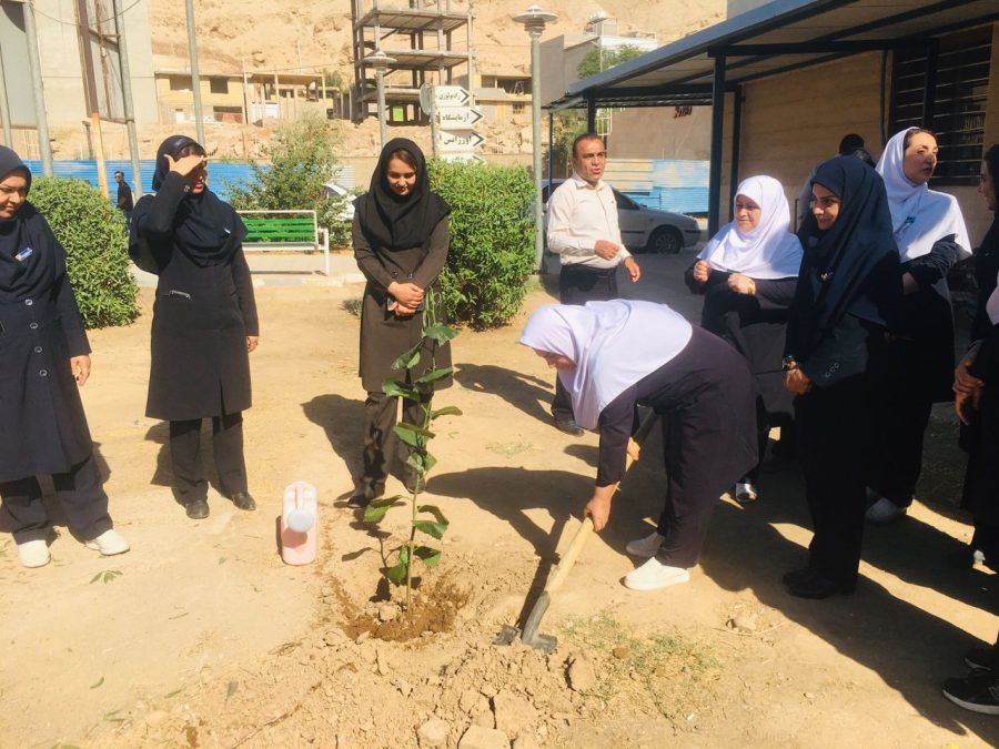 کاشت نهال در بیمارستان ۲۲ بهمن مسجدسلیمان به مناسبت روز پرستار و میلاد حضرت زینب (س)