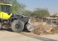 تداوم خدمات شهری با اجرای عملیات گسترده پاکسازی آرامستان‌های مسجدسلیمان