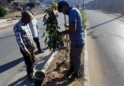 آغاز طرح گسترده کاشت درخت و گل‌های فصلی در بلوارها و میادین سطح شهر