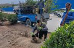 افزایش و بهسازی فضای سبز شهری در بلوار حدفاصل دانشگاه آزاد اسلامی تا سی‌برنج
