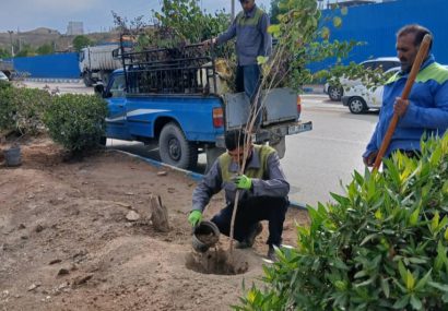 افزایش و بهسازی فضای سبز شهری در بلوار حدفاصل دانشگاه آزاد اسلامی تا سی‌برنج