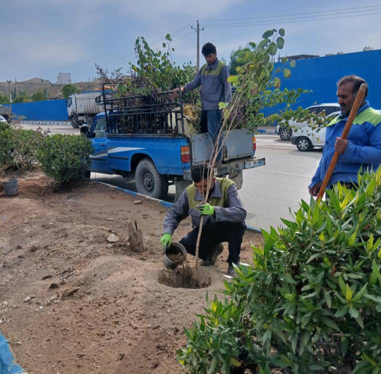 افزایش و بهسازی فضای سبز شهری در بلوار حدفاصل دانشگاه آزاد اسلامی تا سی‌برنج