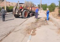 پاکسازی و هرس فضای سبز و درختان شهرک ولیعصر در پاسخ به مطالبه ساکنان