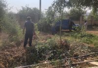 هرس وساماندهی فضای سبز مراکز آموزش فنی و حرفهای مسجدسلیمان