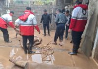 هلال‌احمر مسجدسلیمان پای کار امدادرسانی در بارش‌های سیل‌آسا