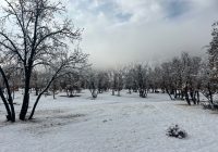 بی‌برقی زیر برف / کمفه در انتظار تحقق وعده‌های مسئولان