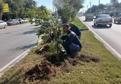 حرکت سبز شهرداری در سطح شهر / کاشت و ساماندهی فضای سبز در محورهای اصلی حرکت سبز شهرداری در سطح شهر / کاشت و ساماندهی فضای سبز در محورهای اصلی