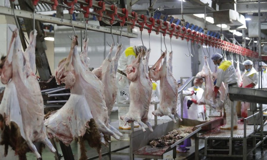 سردخانه کشتارگاه سنتی دام مسجدسلیمان راه‌اندازی شد