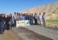 کاشت ۲۰۰ اصله درخت کنار توسط شرکت سیمان کارون