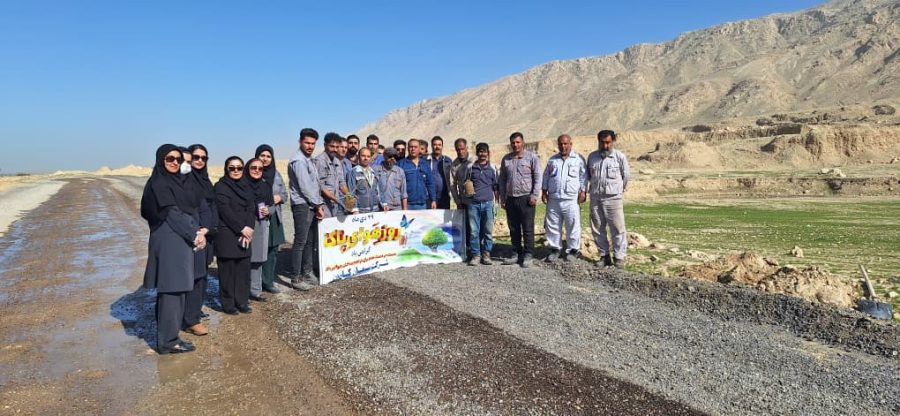 کاشت ۲۰۰ اصله درخت کنار توسط شرکت سیمان کارون