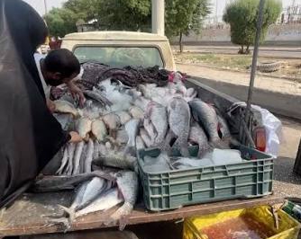 برخورد قاطع با ماهی‌فروشان دوره‌گرد و غیرمجاز در مسجدسلیمان