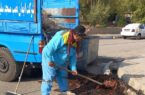 مسجدسلیمان در مسیر پاکیزگی؛ عملیات گسترده پاکسازی در گرمای بالای ۵۰ درجه