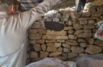 هشدار محیط زیست مسجدسلیمان به برداشت‌کنندگان غیرمجاز عسل از کلنی‌های زنبورهای وحشی