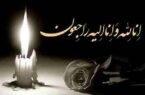 مادر شهید غلامرضا رخش آسمانی شد