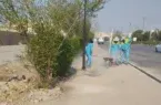 گستره عملیات خدمات شهری برای پاکسازی محورهای مختلف مسجدسلیمان